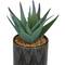 Green Faux Foliage Small Succulent Artificial Plant with Leaf Patterned Pot Set